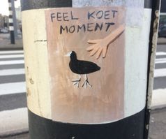 feel koet moment (Foto: Peter J. Korten)